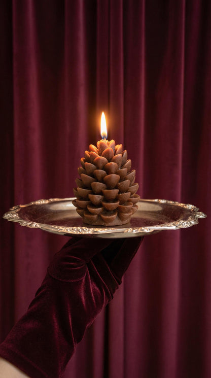 Pine Cone Candle