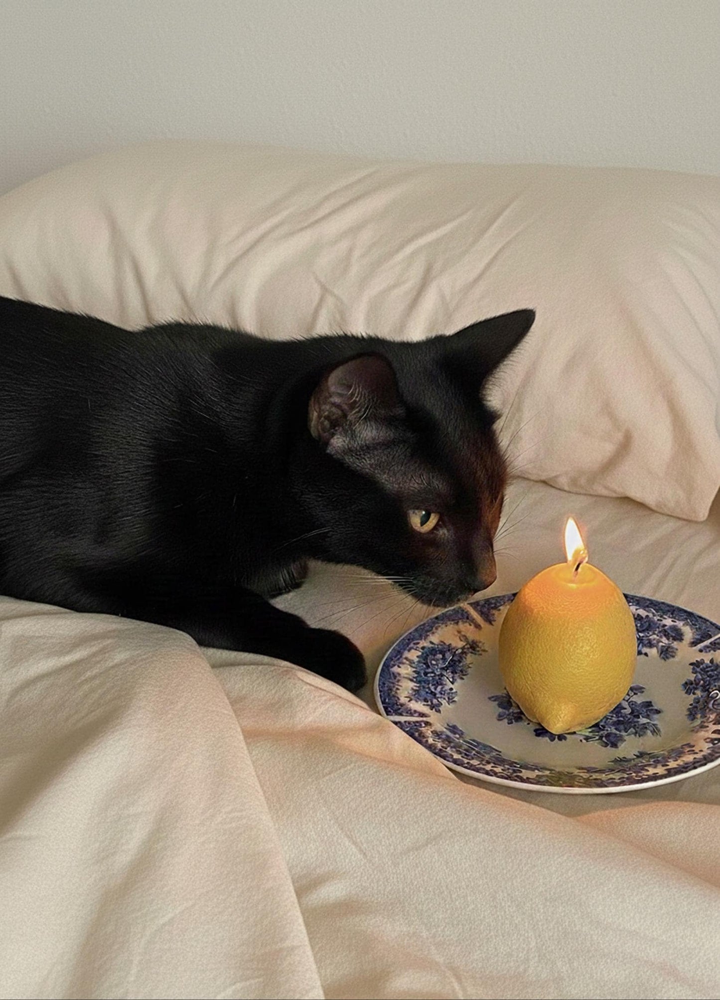 Lemon Candle