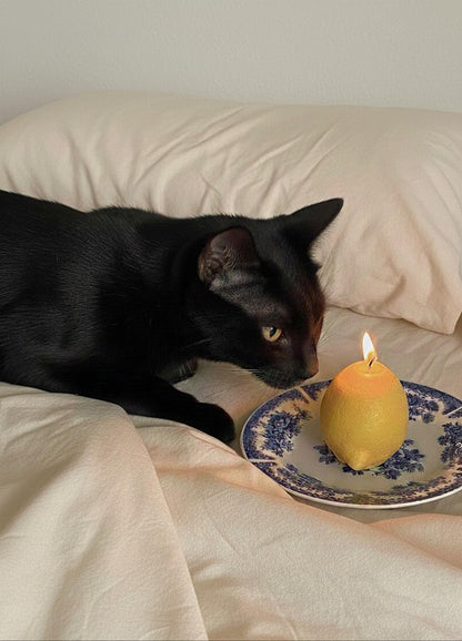 Lemon Candle
